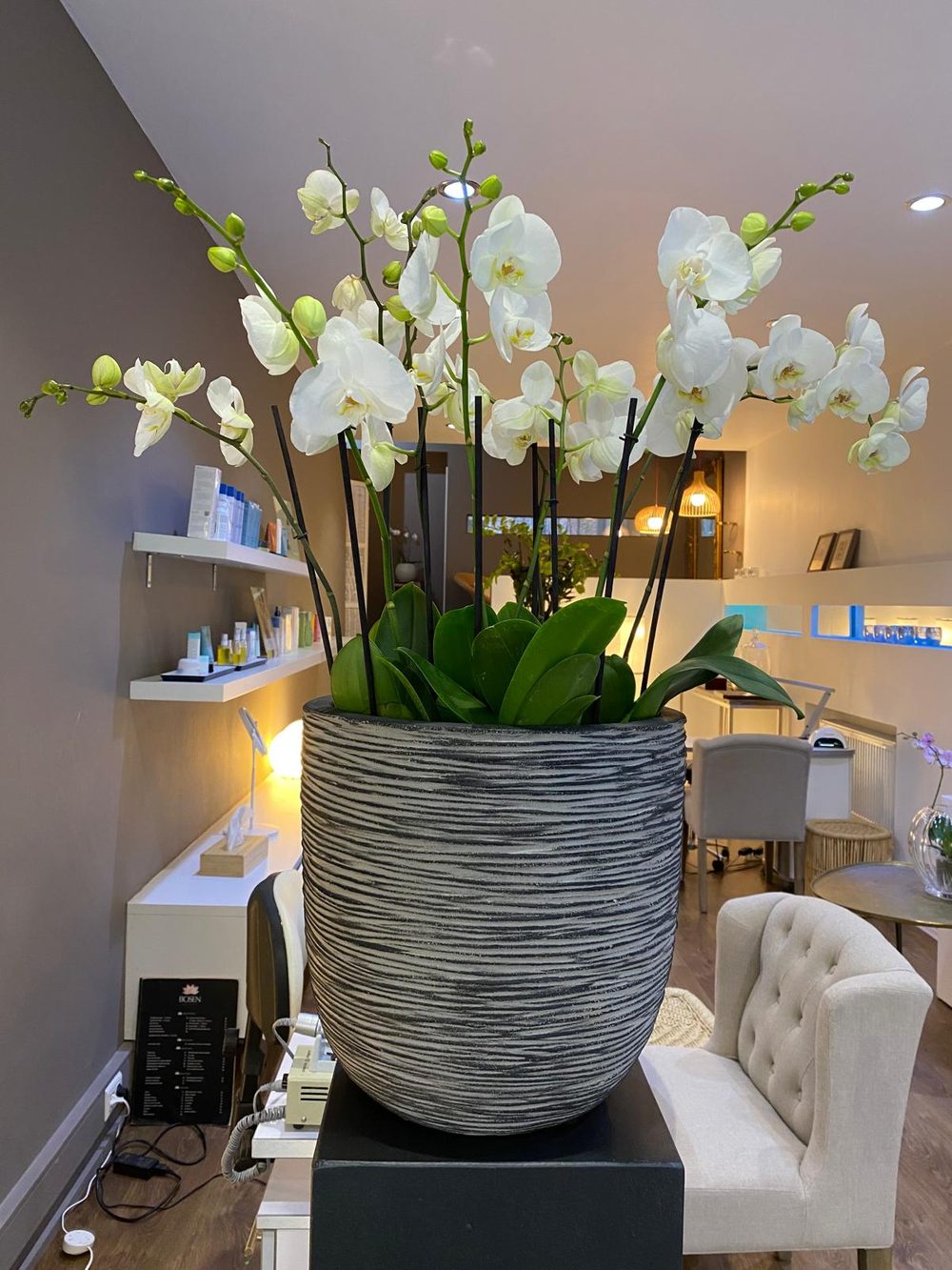 Large white orchid arrangement